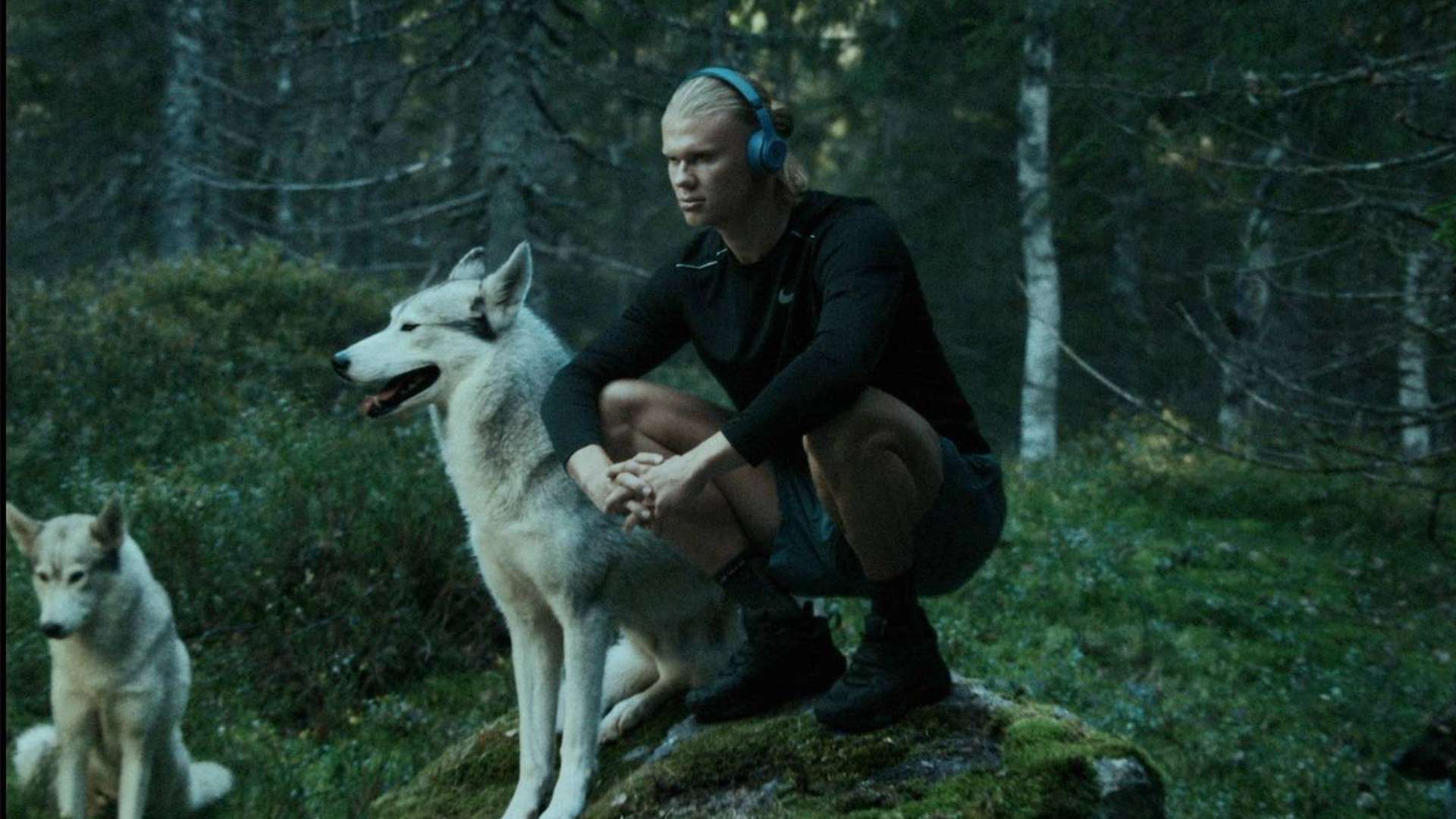 重振士气和 重振士气和